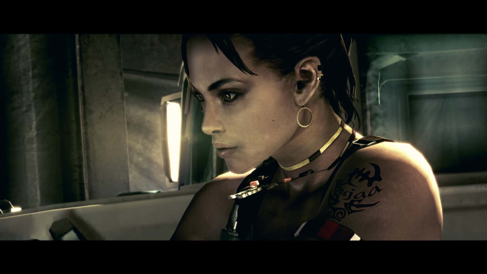 生化危机5：黄金版 Resident Evil 5：Gold Edition 中文版